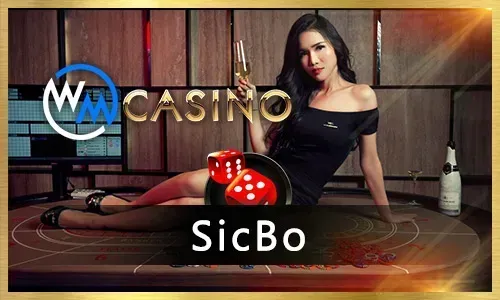 Variety of slot machines and table games in an online casino